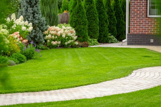 Freshly cut grass in the backyard of a private house.