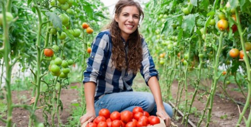 female-tomato-farmer